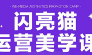 （9536期）闪亮猫·自媒体运营美学课6.0，提升品牌审美，用视觉撬动流量