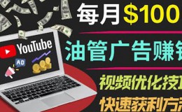 YouTube广告赚钱项目：只需发布视频就有收入，月入1000+美金