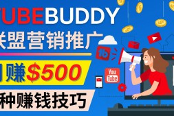 （2897期）推广TubeBuddy联盟营销项目，轻松月赚500美元