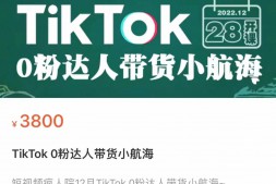 （3400期）TikTok 0粉达人带货小航海，TikTok Shop带货新模式，价值3800元