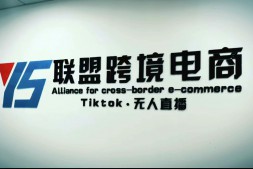 （3722期）Tiktok无人直播，不出镜不剪辑不拍摄不发货，无售后的跨境短视频躺赚玩法
