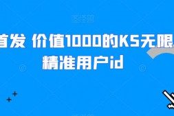 （6053期）全网首发 价值1000的KS无限采集精准用户id