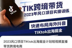 （6156期）TikTok出海掘金计划短视频带货，快速布局海外抖音TikTok出海掘金