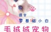 （3362期）艺琳2022零基础ipad宠物绘画课【画质高清有笔刷素材】