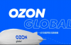 （3815期）老迟·OZON本土电商精品课，系统讲解ozon的平台，价值3999元