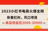 （4541期）2023小红书电商火爆全网，新晋红利，风口项目，单店收益在3000-30000+