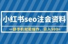 （5091期）小红书seo注会资料，一部手机就能操作，日入500+（教程+资料）