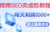 （5262期）视频SEO出售虚拟产品，每天稳定2-5单利润1000+，史上最稳定私域变现项目