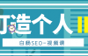 （8435期）白杨SEO-打造个人IP视频课