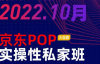 （3015期）京东POP实操性私家班—大促篇，​三天时间，实战剖析，价值4980元