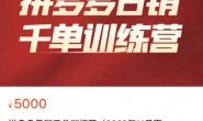 【更新至25年10月】(3087期)白凤电商学院·拼多多日销千单训练营,价值5000元
