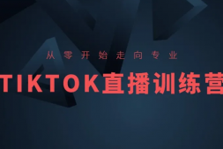（7805期）TikTok直播带货实战训练营，0基础轻松学，从0开始走向专业
