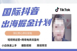（8614期）TikTok短视频跨境出海撸美金，短视频运营+跨境电商双盈利