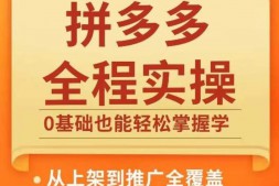 （8976期）江枫老师·拼多多实操课程，从0到1教会你拼多多电商运营