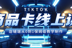 （9163期）TikTok商品卡线上课，​店铺端从0到1保姆级教学
