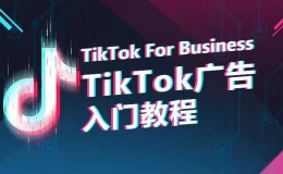 （9326期）TikTok广告入门教程，从0到1掌握TikTok投放的全流程