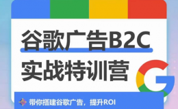 （9336期）谷歌广告B2C实战特训营
