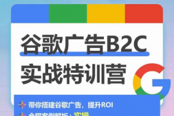 （9336期）谷歌广告B2C实战特训营