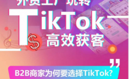 （9476期）外贸工厂玩转TikTok，高效获客
