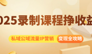 (13278期)2025录制课程挣收益项目,私域公域流量IP营销变现全攻略