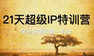 (14037期)21天超级IP特训营,小白变大咖,开启互联网轻创业之路