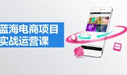 (14628期)大飞-闲鱼蓝海电商实战运营课