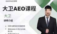 【更新】(14869期)大卫-2025年AEO课程,带你从谷歌传统SEO到AEO顺利转型