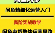 (14979期)闲鱼精细化入门+高阶实战教学