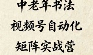 (15390期)中老年书法视频号自动化矩阵实战营