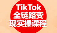 (15429期)小杨-TikTok全链路变现实操课程
