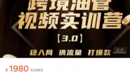 【9月22日更新】(8785期)油管YouTube线上运营实操课,跨境电商YouTube运营