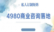 (15613期)商业咨询师落地课程,ip运营高客单教程(4980)