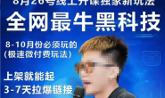 【更新】(15578期)王校长-拼多多9月线上新玩法课程实操(全类目可操作)