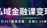 (15699期)私域金融课变现玩法,日引30+精准流量,日销5-10单,一单188