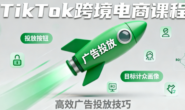 (15701期)小林哥-TikTok跨境电商全流程实操课