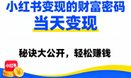 (15774期)小红书吸粉变现,当天变现,小红书变现的财富密码