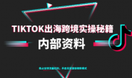 (15780期)TikTok跨境电商0-1搭建运营,无货源抢占全球红利