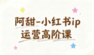 (15787期)阿甜-小红书ip运营高阶课