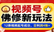 (15792期)视频号佛修赛道新玩法,12条视频起号成功,日利润400+